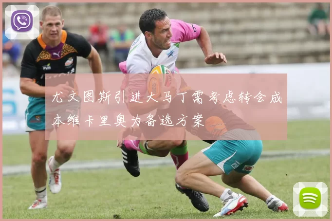 尤文图斯引进大马丁需考虑转会成本维卡里奥为备选方案