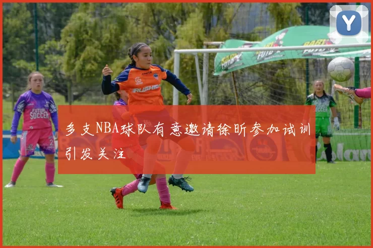 多支NBA球队有意邀请徐昕参加试训引发关注
