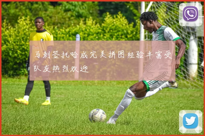 马刺签托哈成完美拼图经验丰富受队友热烈欢迎